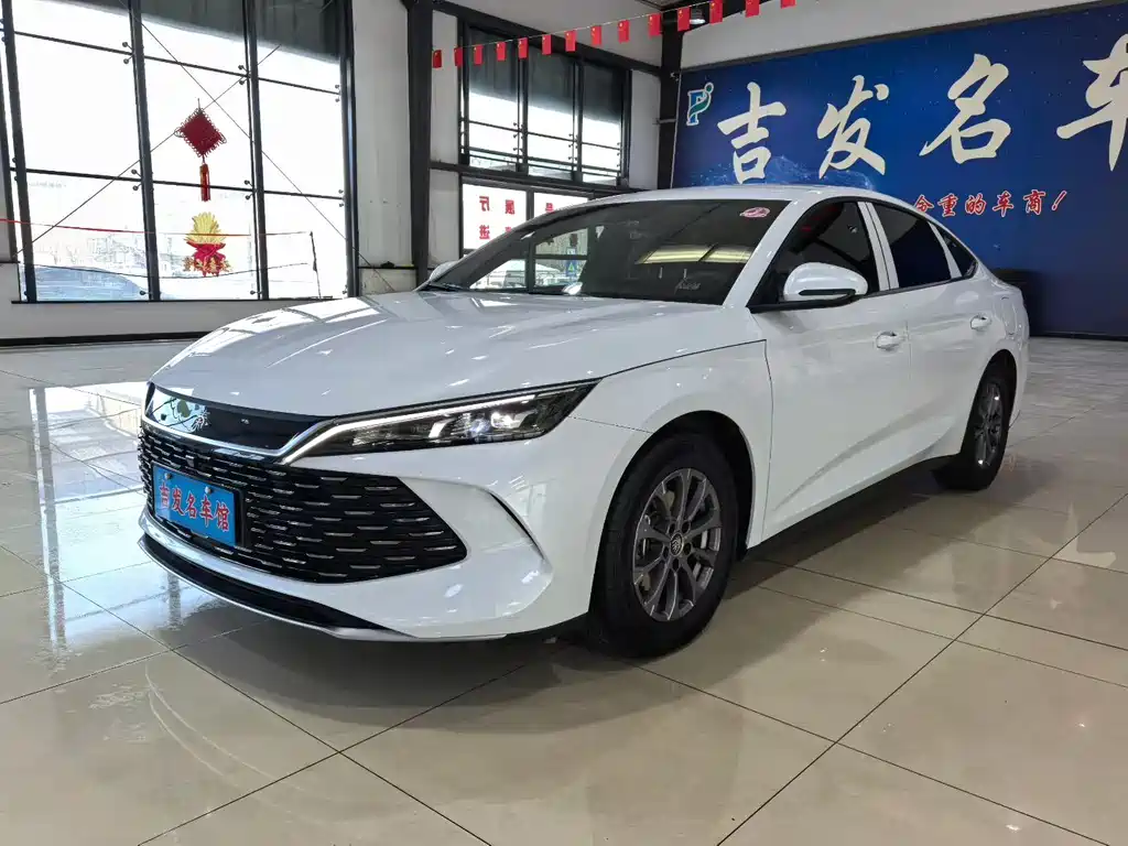 BYD QIN L