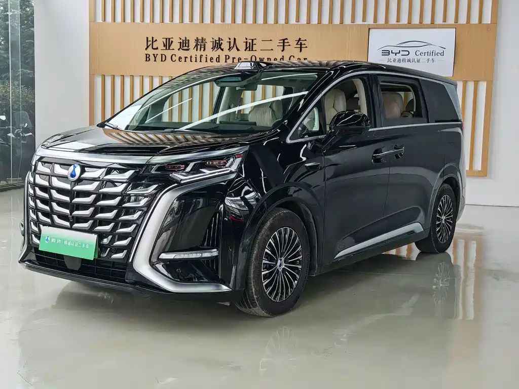 Denza Denza D9