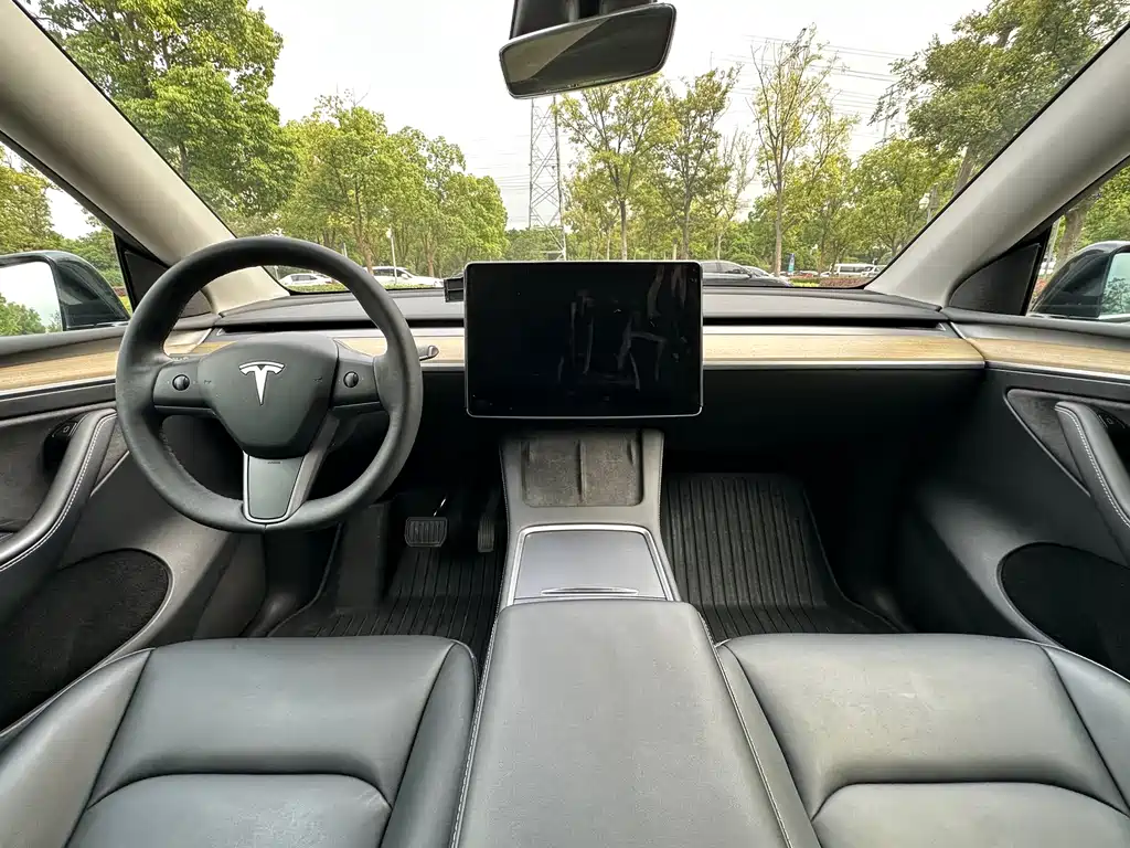 Tesla Model Y — миниатюра 14