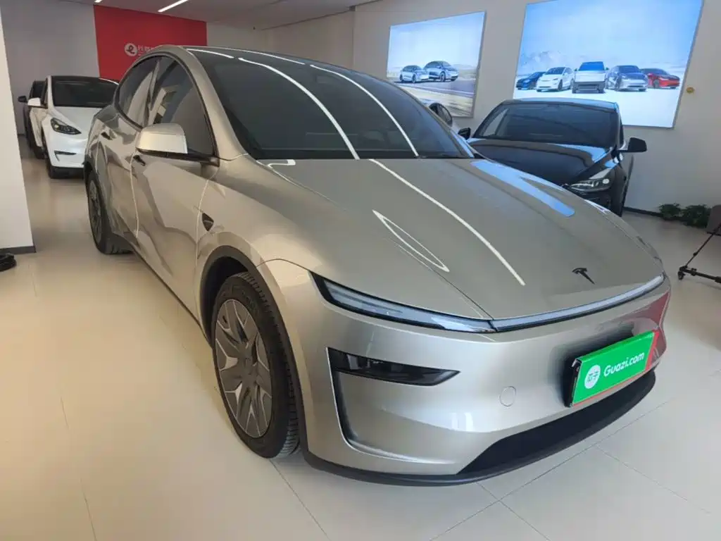 Tesla Model Y L — миниатюра 4