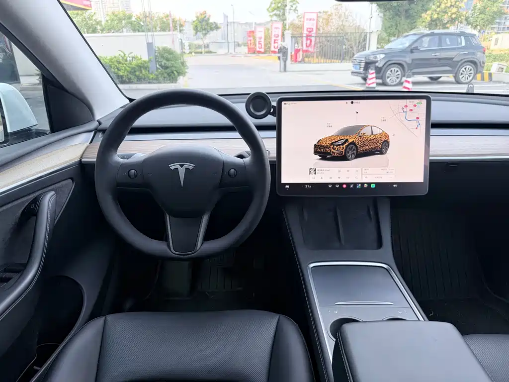 Tesla Model Y — миниатюра 12