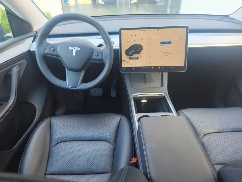 Tesla Model Y — миниатюра 10