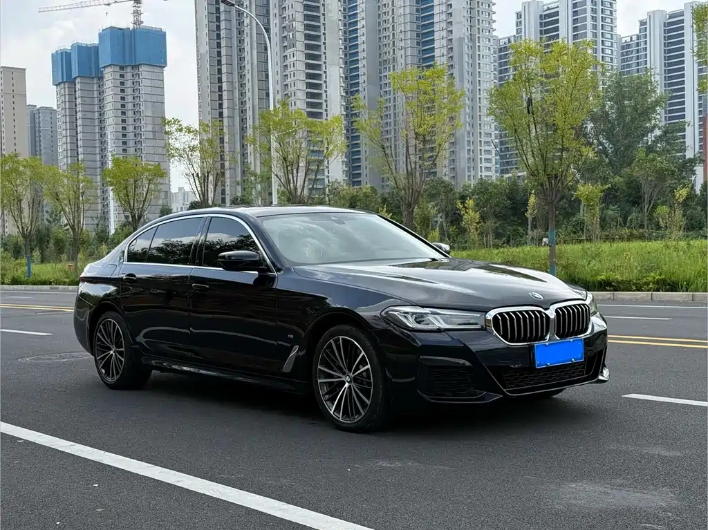BMW 5 Series — миниатюра 3