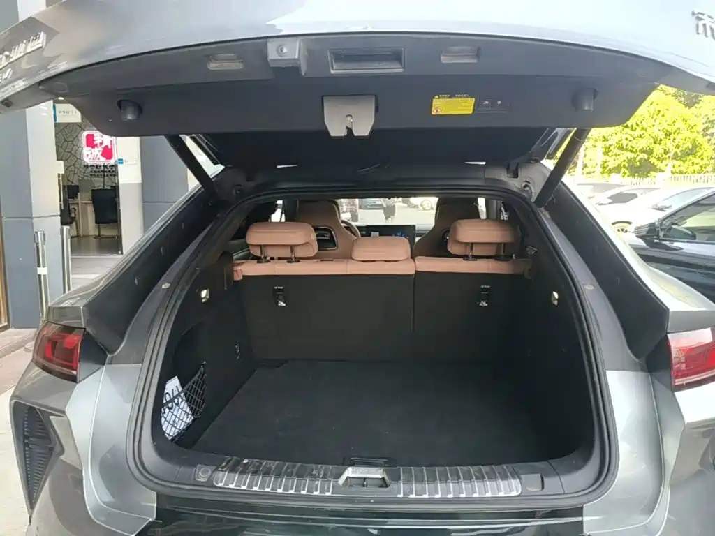 BYD L EV — миниатюра 19