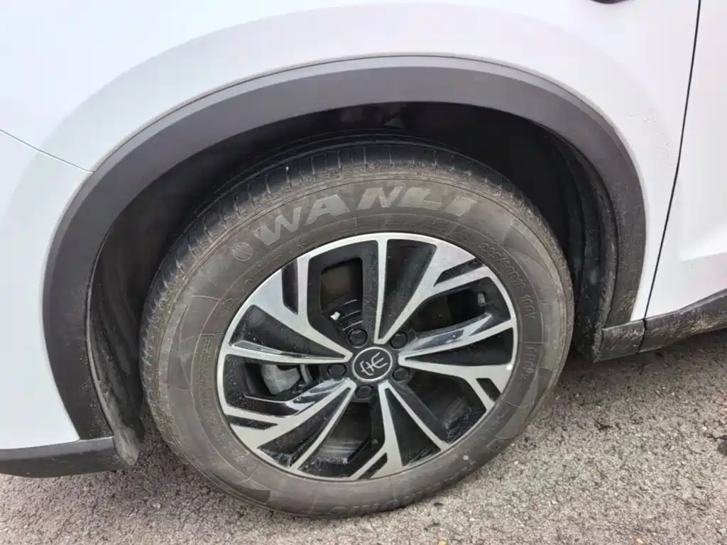 BYD Pro New Energy — миниатюра 23