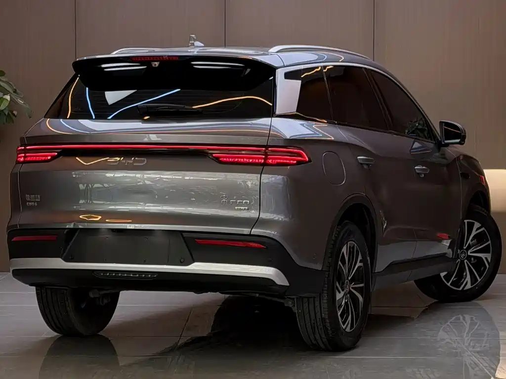 BYD Pro New Energy — миниатюра 20