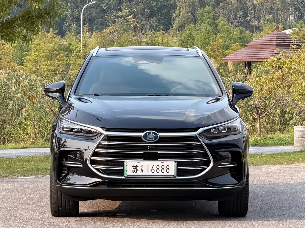 BYD Tang New Energy — миниатюра 2