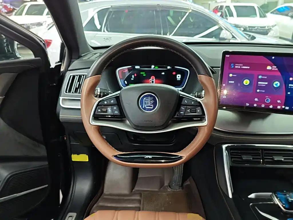 BYD Tang New Energy — миниатюра 11