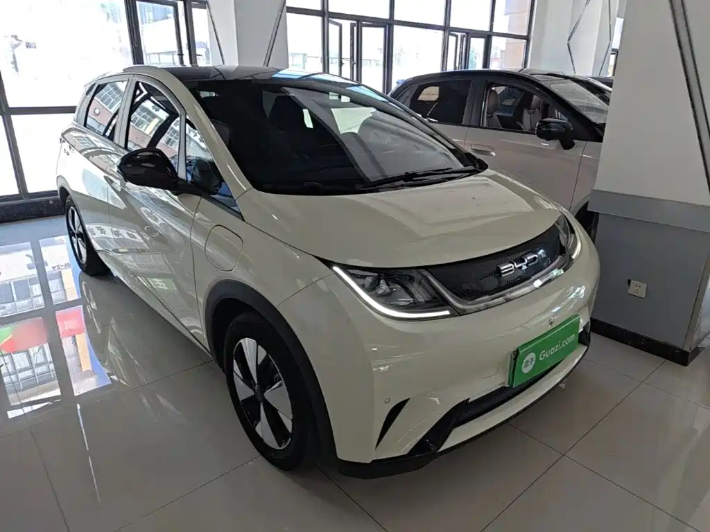 BYD Dolphin — миниатюра 4