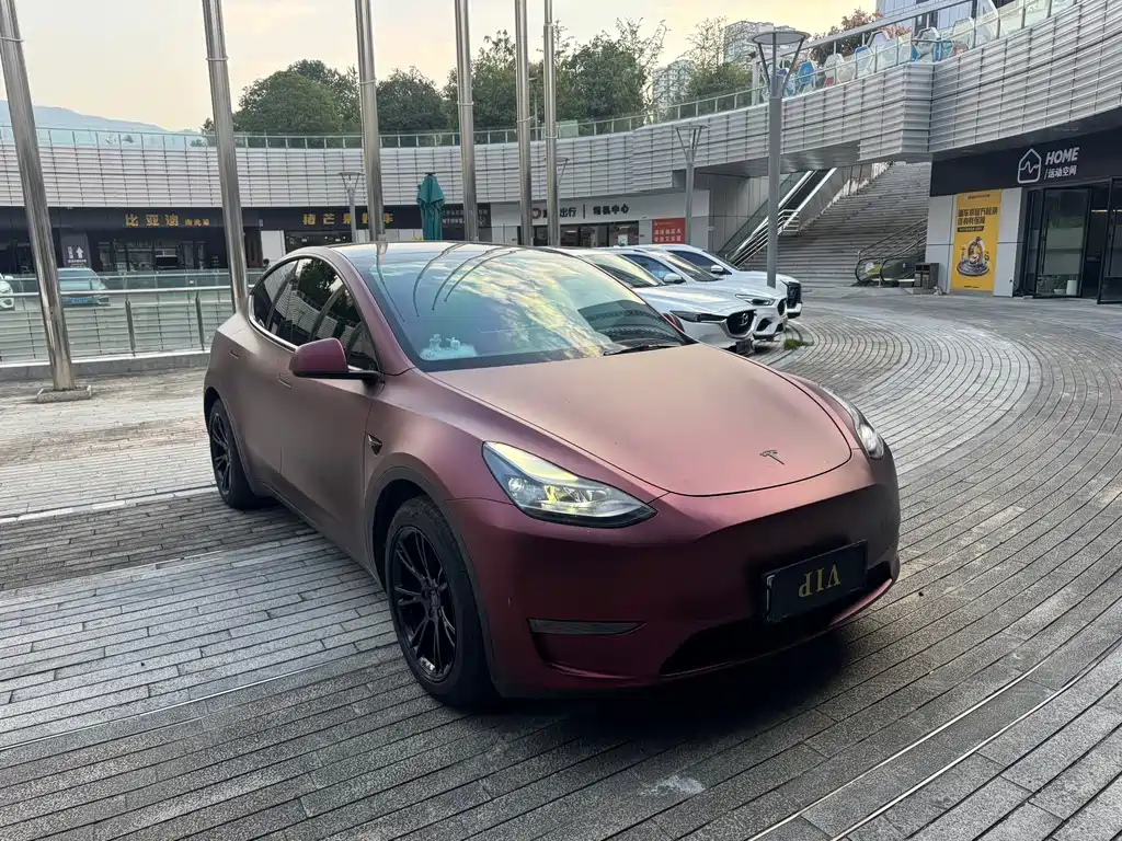 Tesla Model Y — миниатюра 3