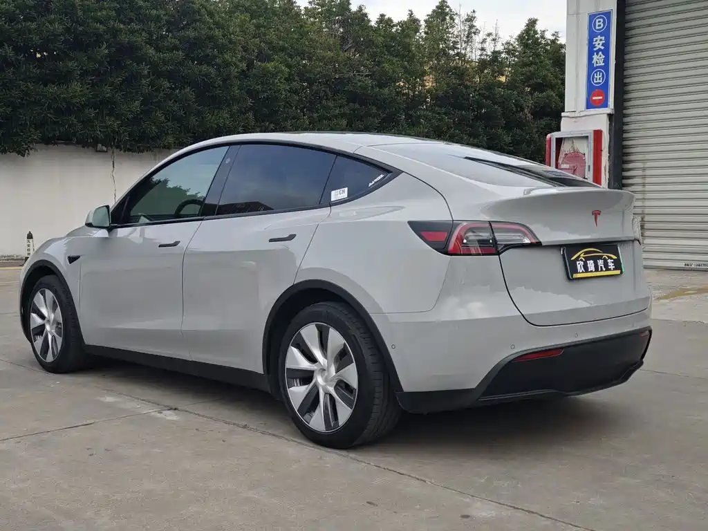 Tesla Model Y — миниатюра 6