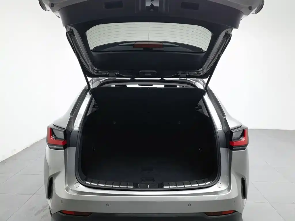 Lexus NX — миниатюра 16