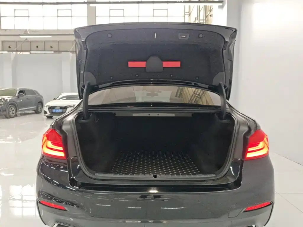 BMW 5 Series — миниатюра 19