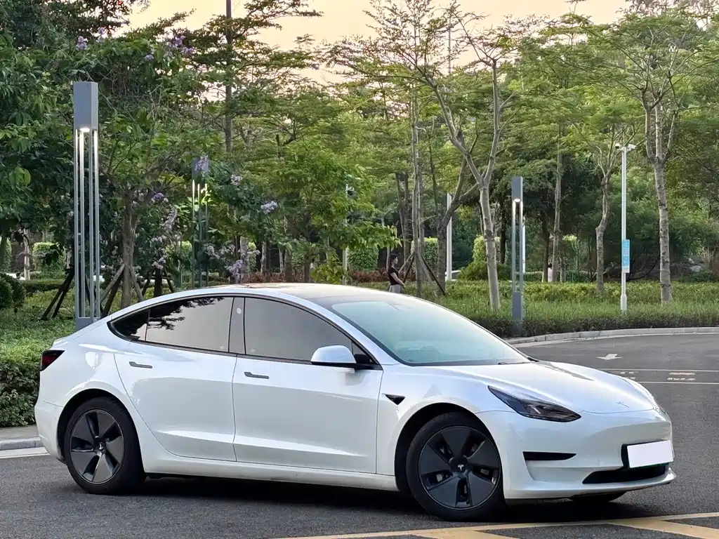 Tesla Model 3 — миниатюра 3