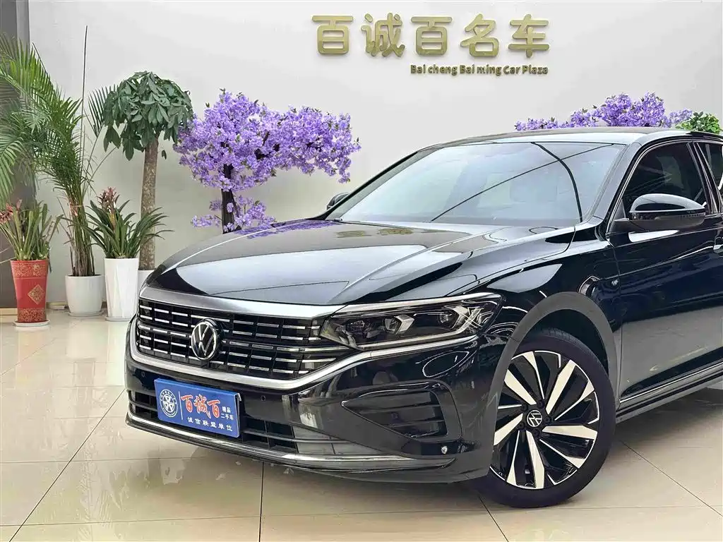Volkswagen Passat — миниатюра 2