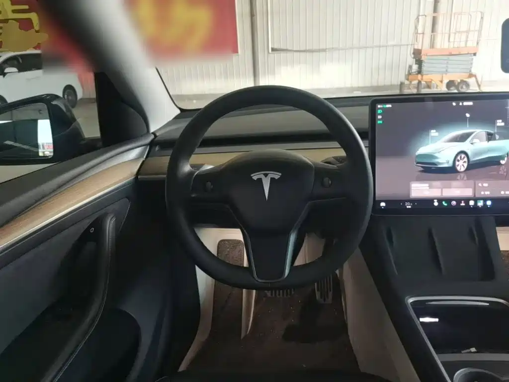 Tesla Model Y — миниатюра 11