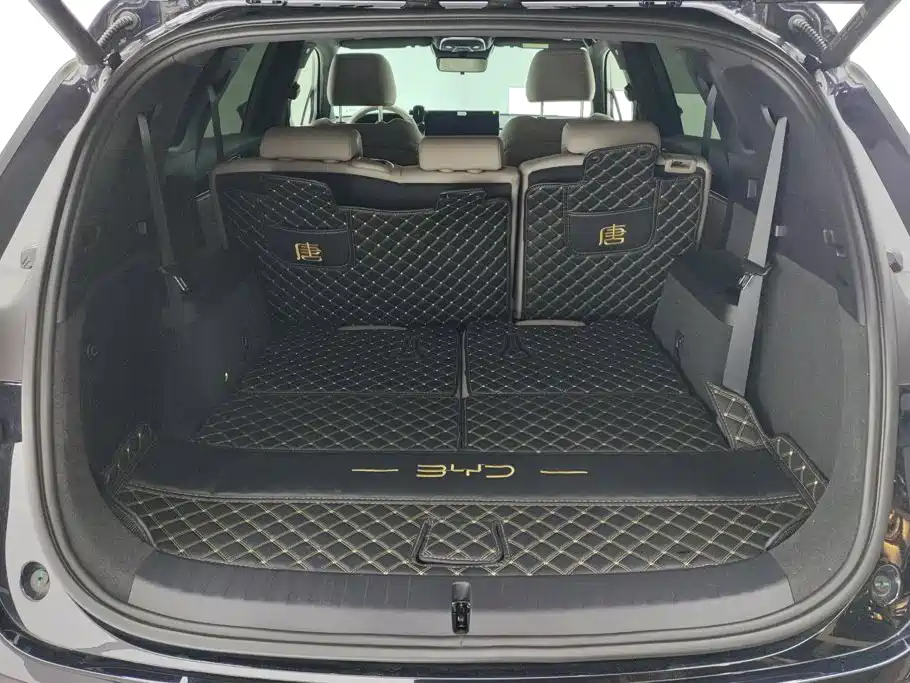 BYD Tang New Energy — миниатюра 4