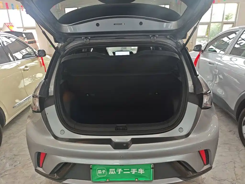 BYD Dolphin — миниатюра 19