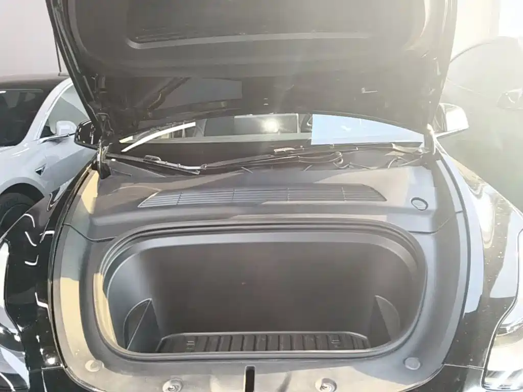 Tesla Model Y — миниатюра 20