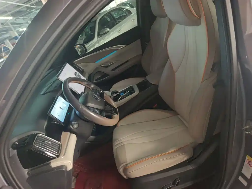 BYD Pro New Energy — миниатюра 15