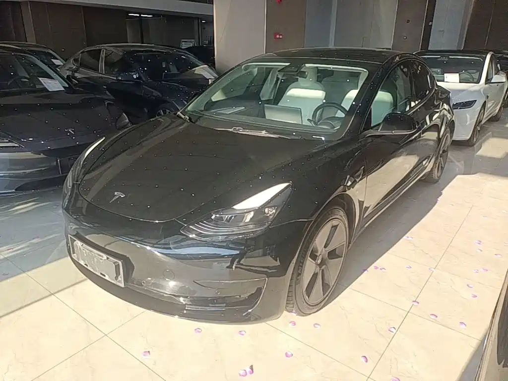Tesla Model 3 — миниатюра 2