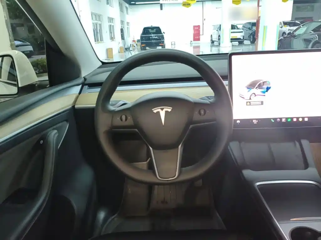 Tesla Model Y — миниатюра 11