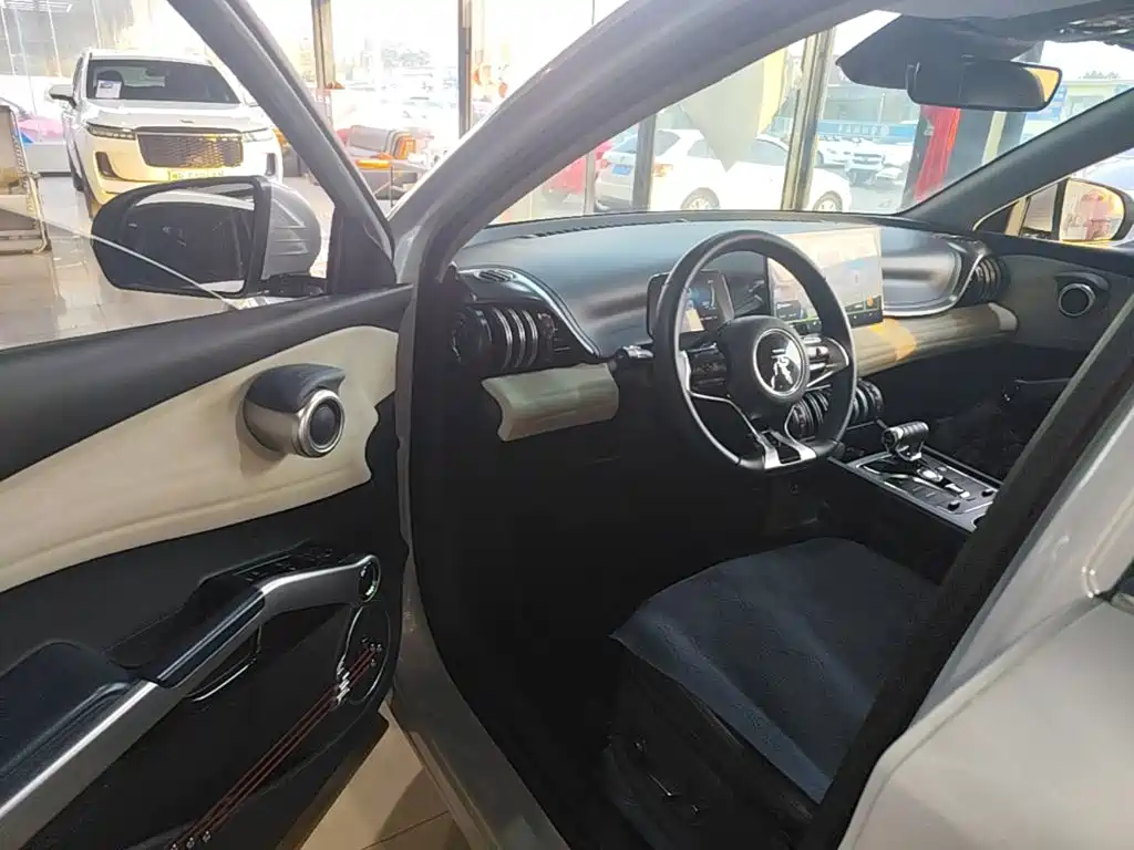 BYD Yuan Plus — миниатюра 16