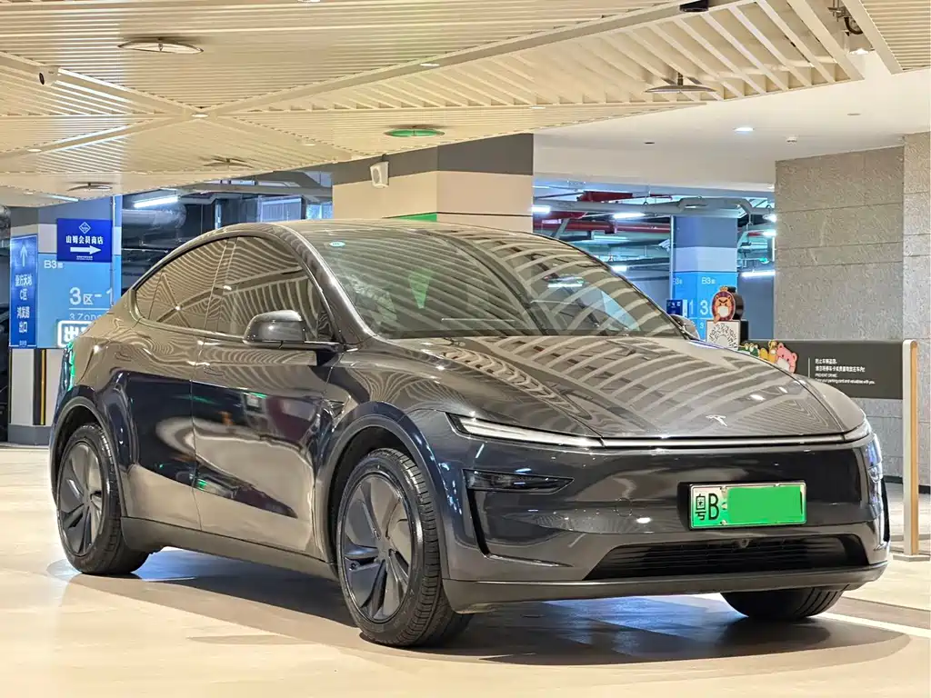 Tesla Model Y — миниатюра 3