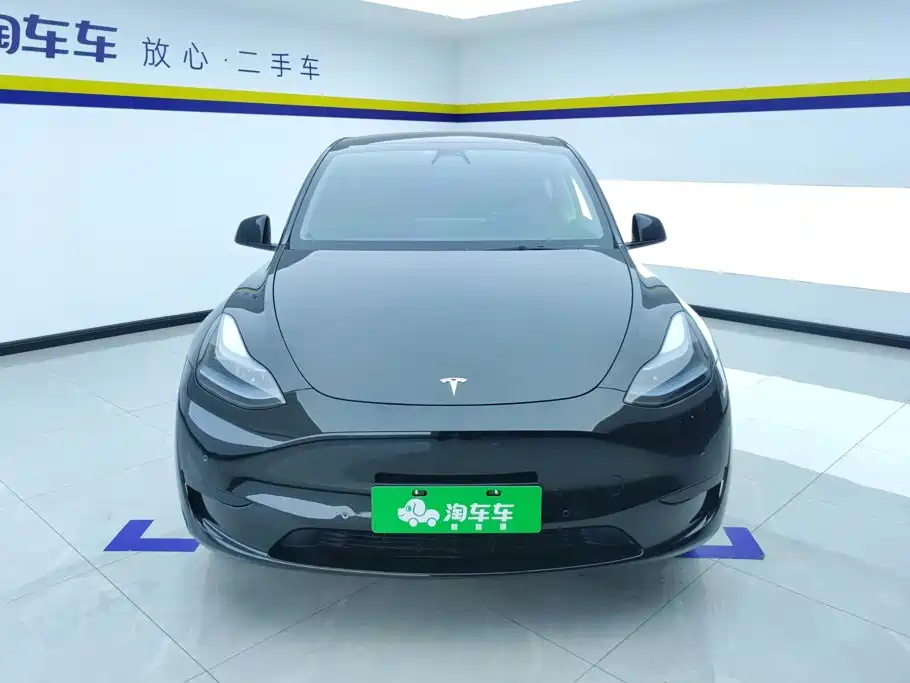 Tesla Model Y — миниатюра 2