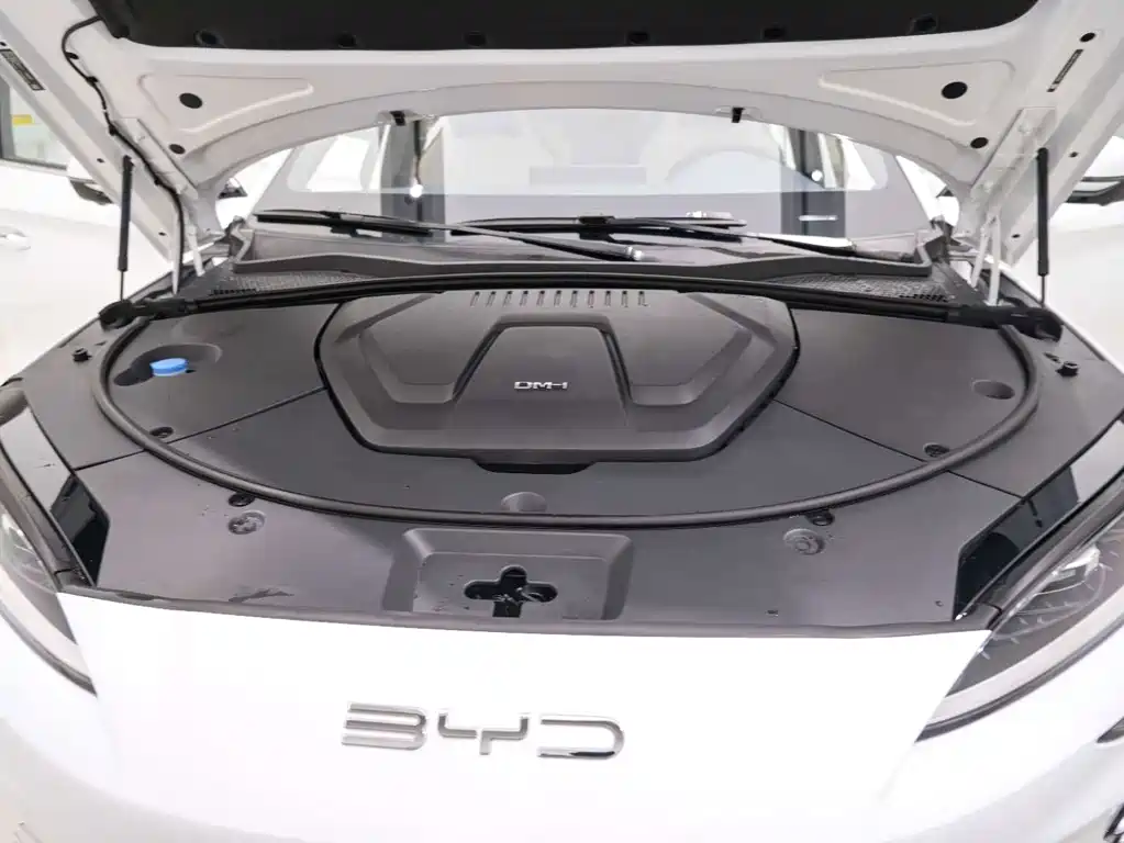 BYD PLUS New Energy — миниатюра 26