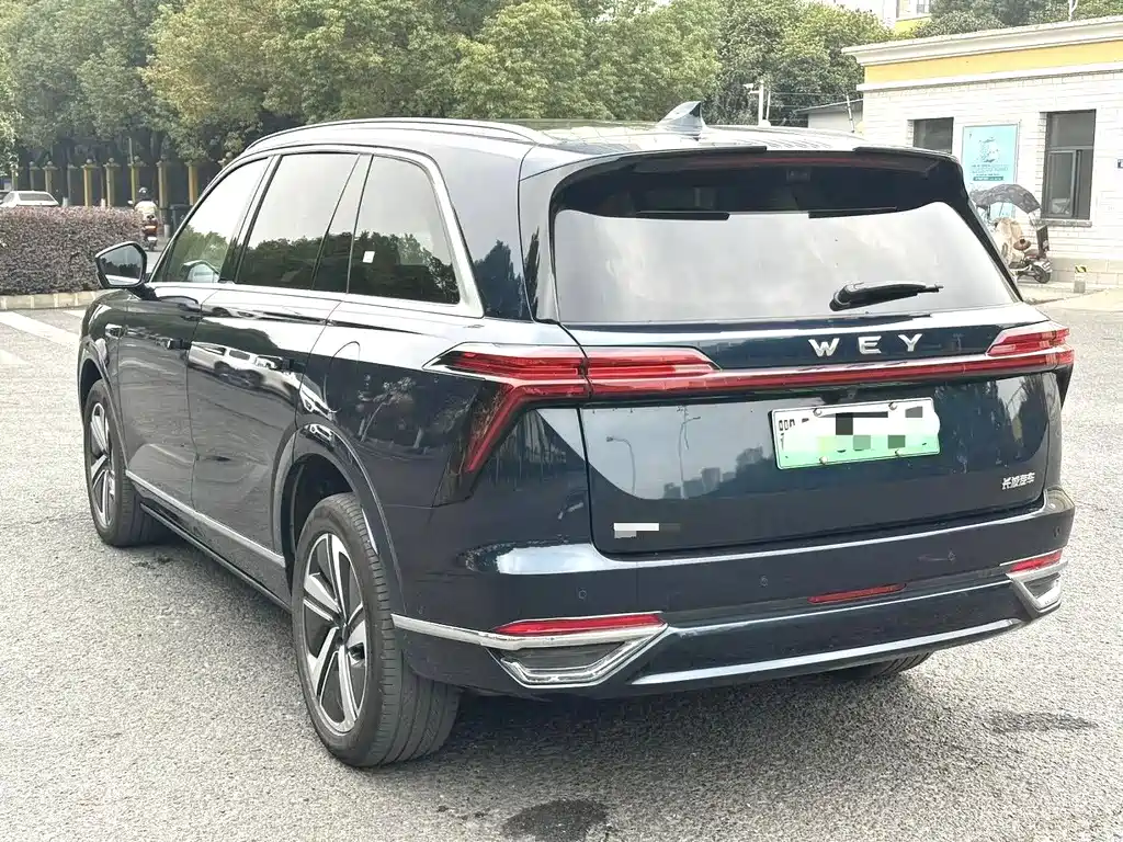 WEI PAI WEI BRAND BLUE MOUNTAIN