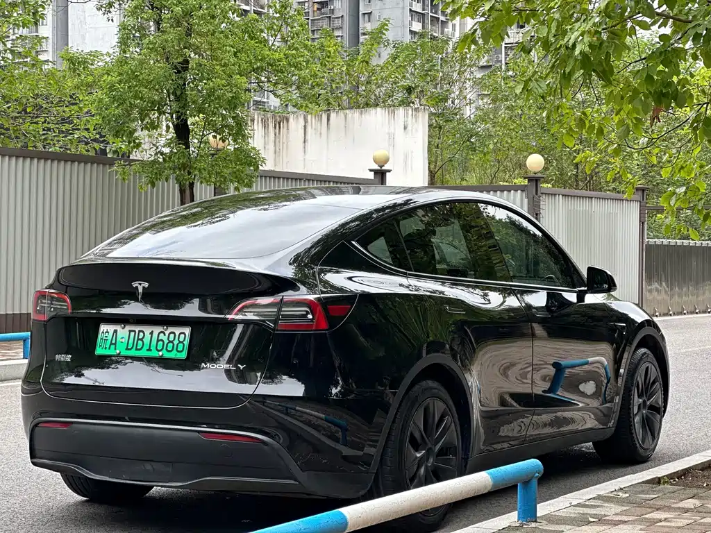 Tesla Model Y — миниатюра 16