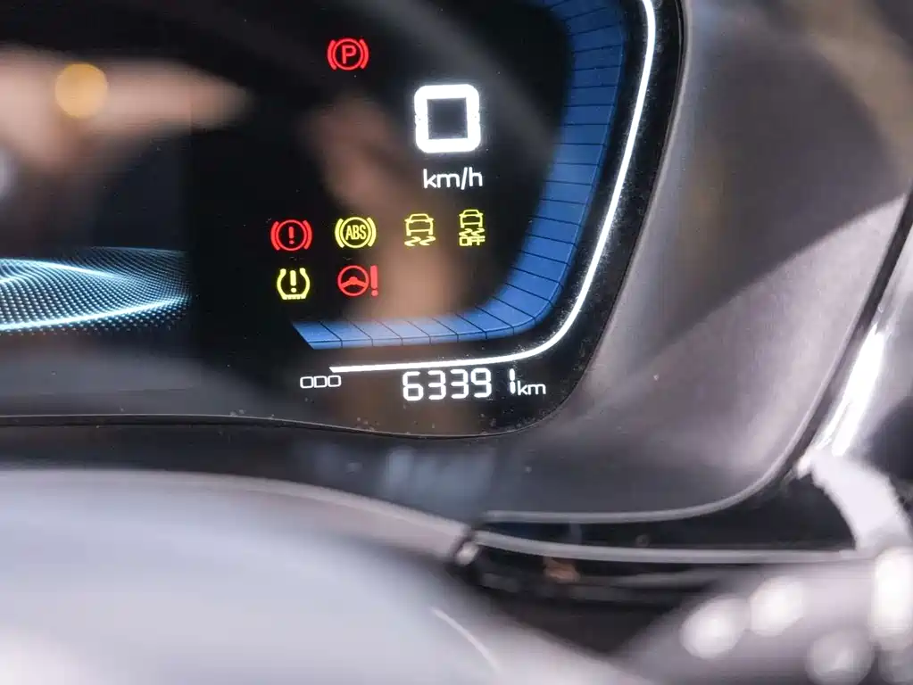 BYD PLUS New Energy — миниатюра 11