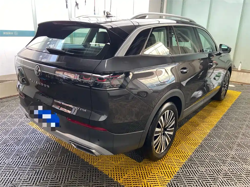 Volkswagen Tavendor — миниатюра 7
