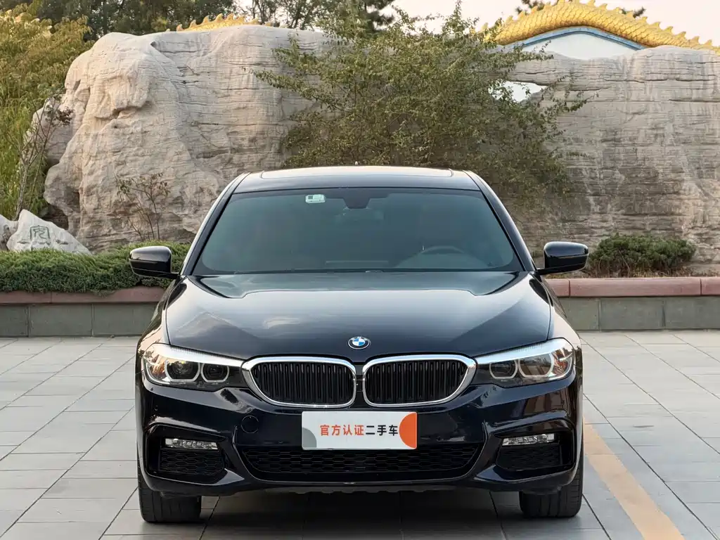 BMW 5 Series — миниатюра 2