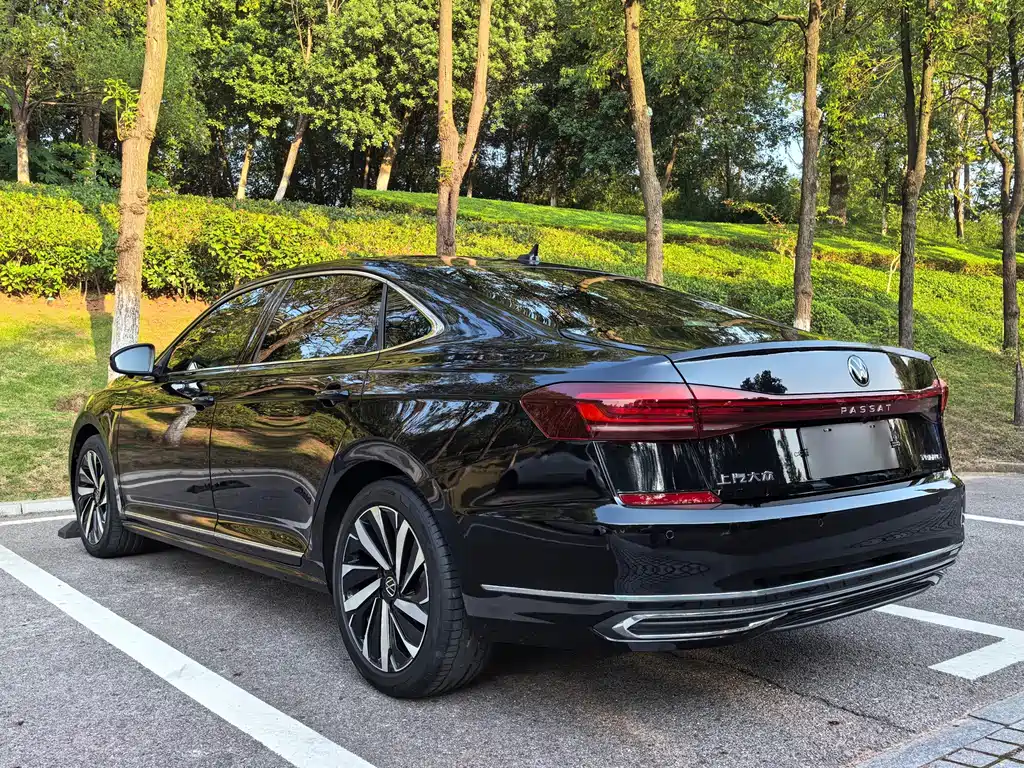 Volkswagen Passat — миниатюра 6