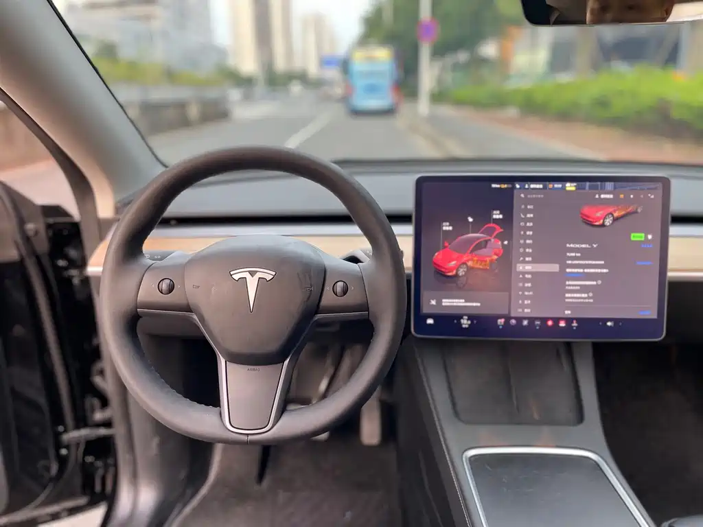 Tesla Model Y — миниатюра 13