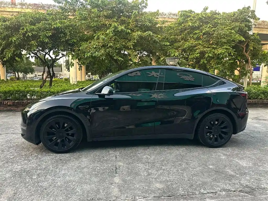 Tesla Model Y — миниатюра 9