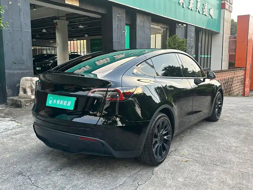 Tesla Model Y — миниатюра 14