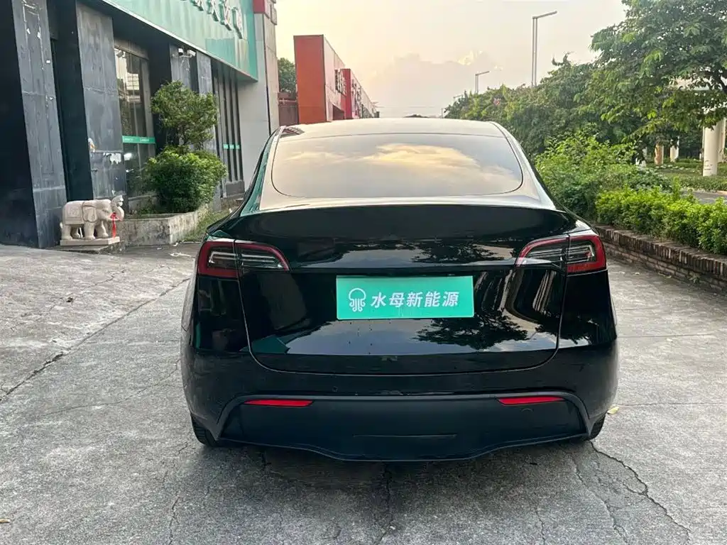 Tesla Model Y — миниатюра 7