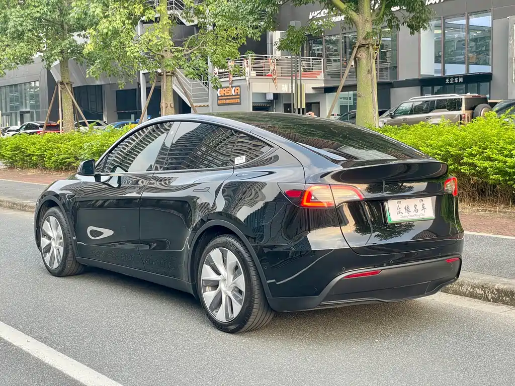 Tesla Model Y — миниатюра 5