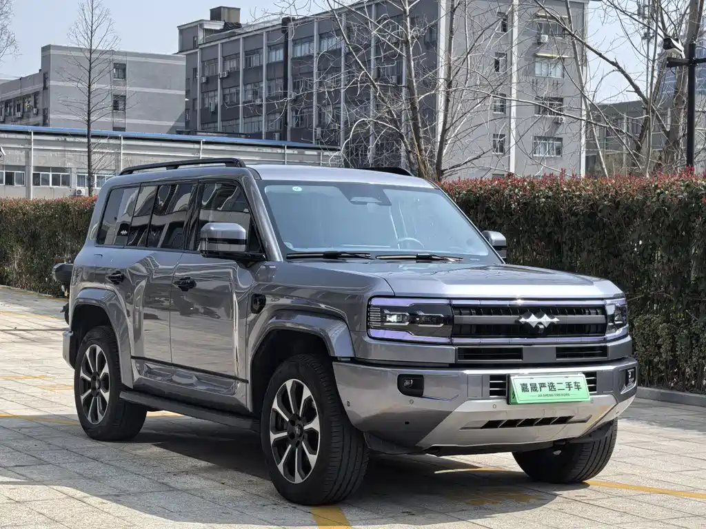 FANG CHENG BAO LEOPARD 5