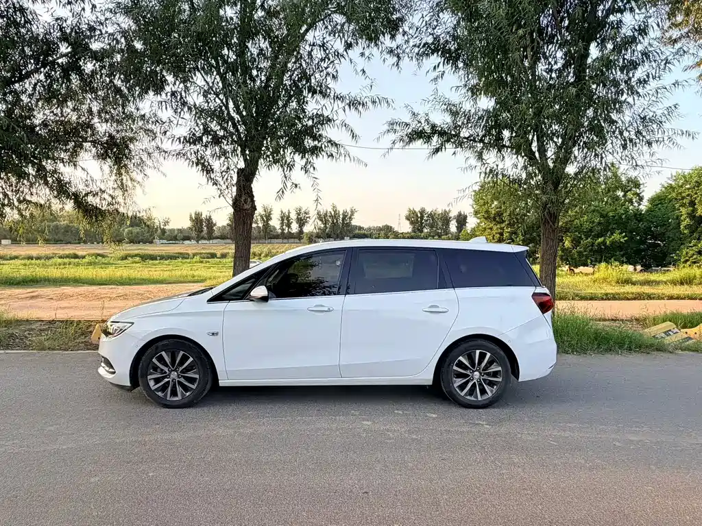 Buick GL6 — миниатюра 7