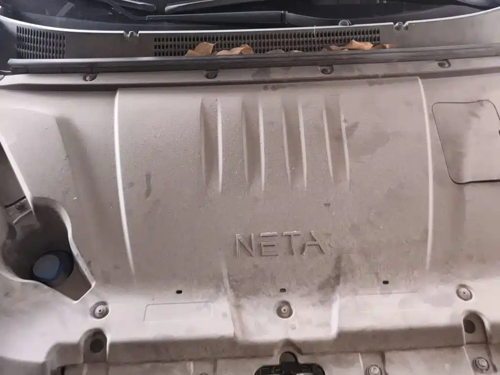 Neta Neta V — миниатюра 11