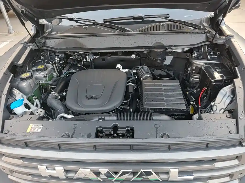 Haval Menglong New Energy — миниатюра 20