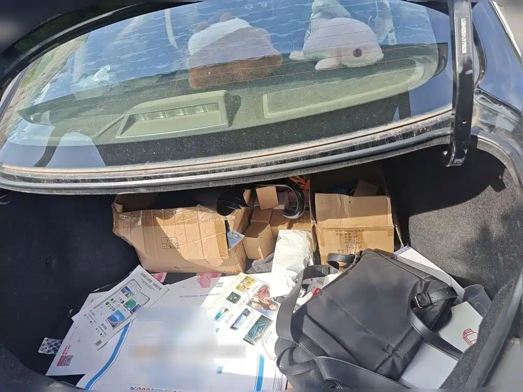 Nissan Sylphy — миниатюра 15