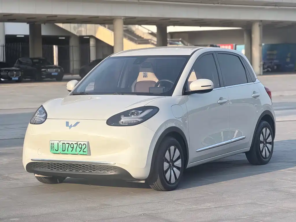 Wuling Bingo