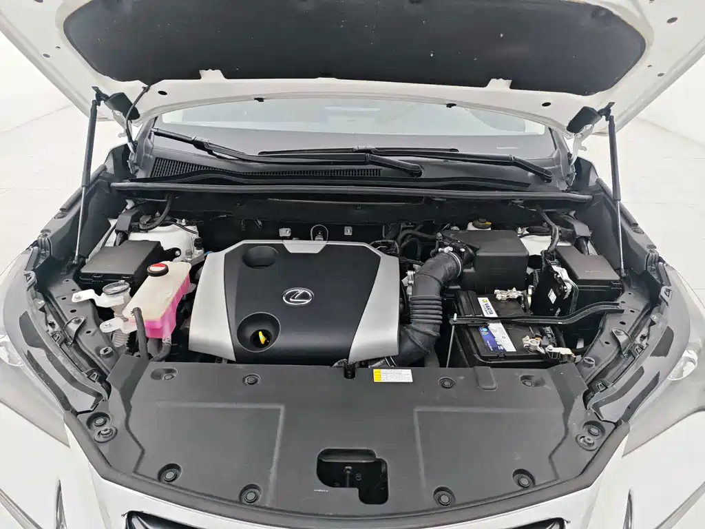 Lexus NX — миниатюра 14