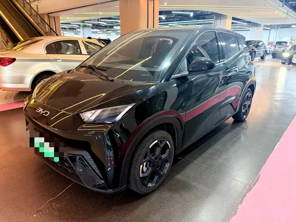 Byd Seagull 2024