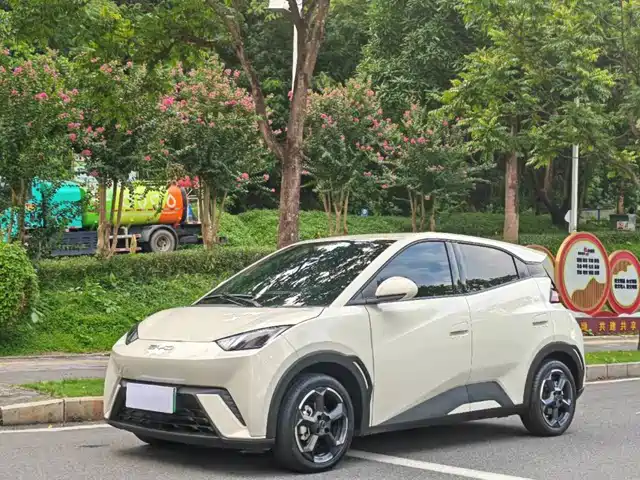 2023 BYD Seagull
